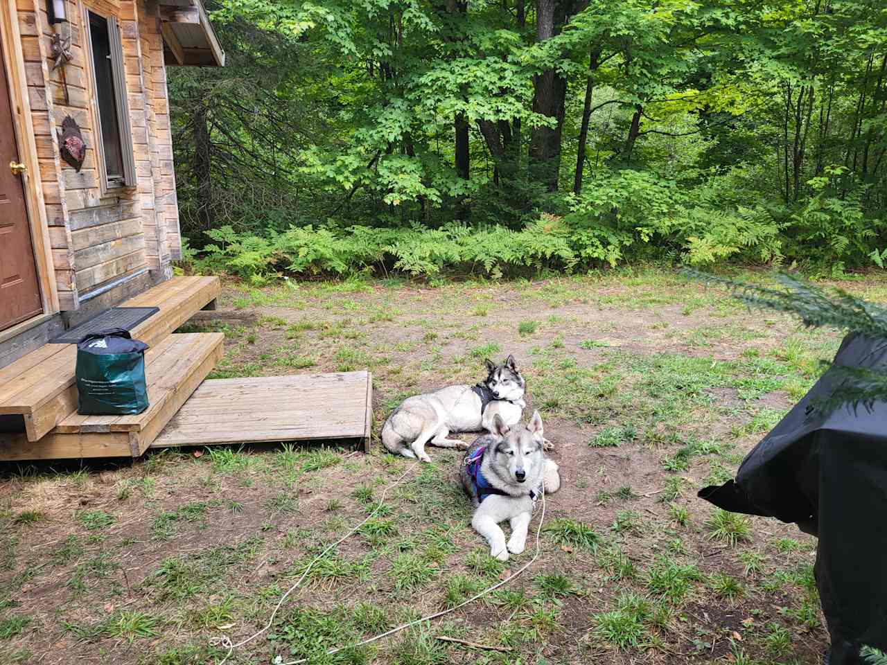 Maple Rivers Log Cabins