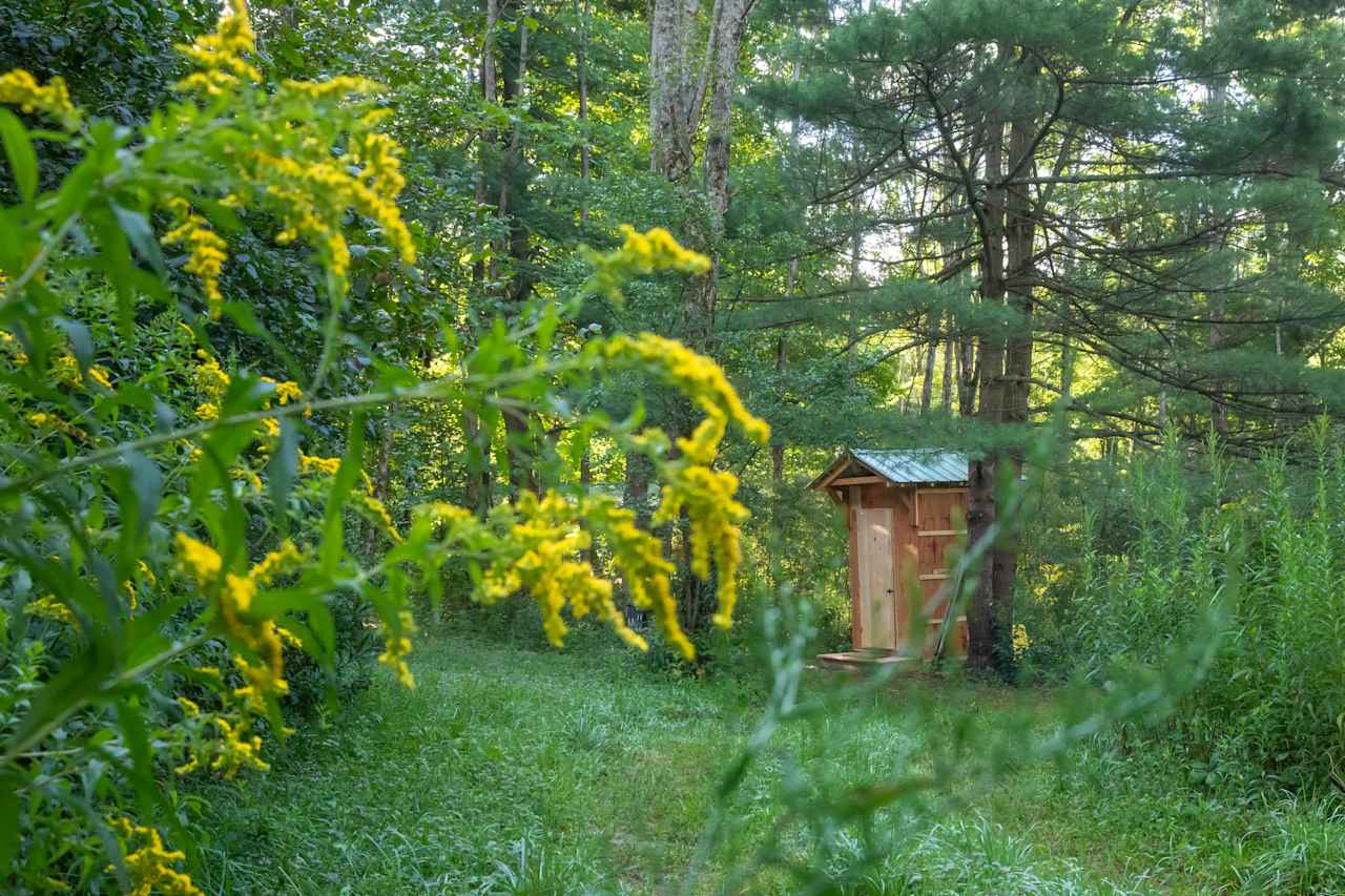 Barred Owl Woods