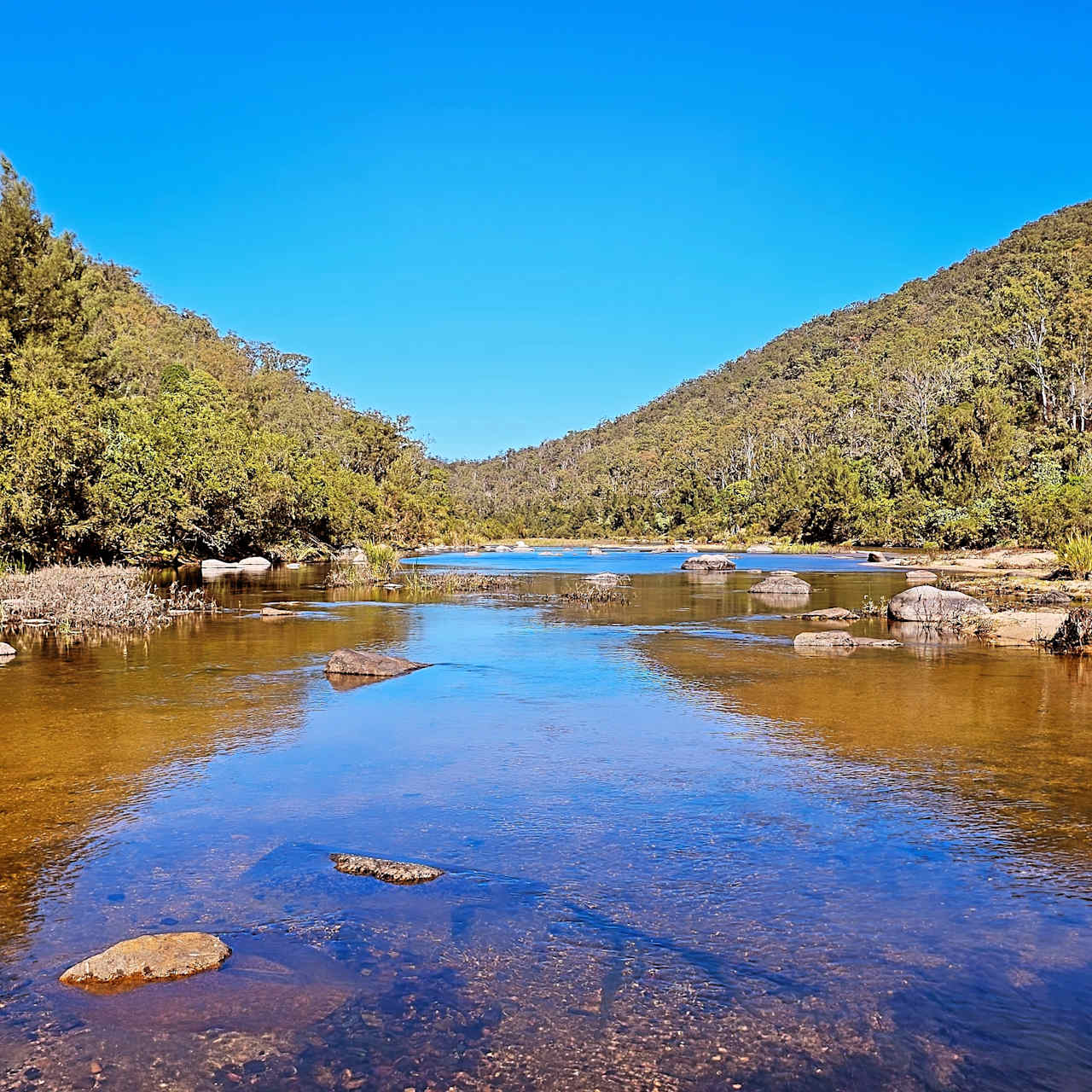 Eagle Ridge Bush Retreat