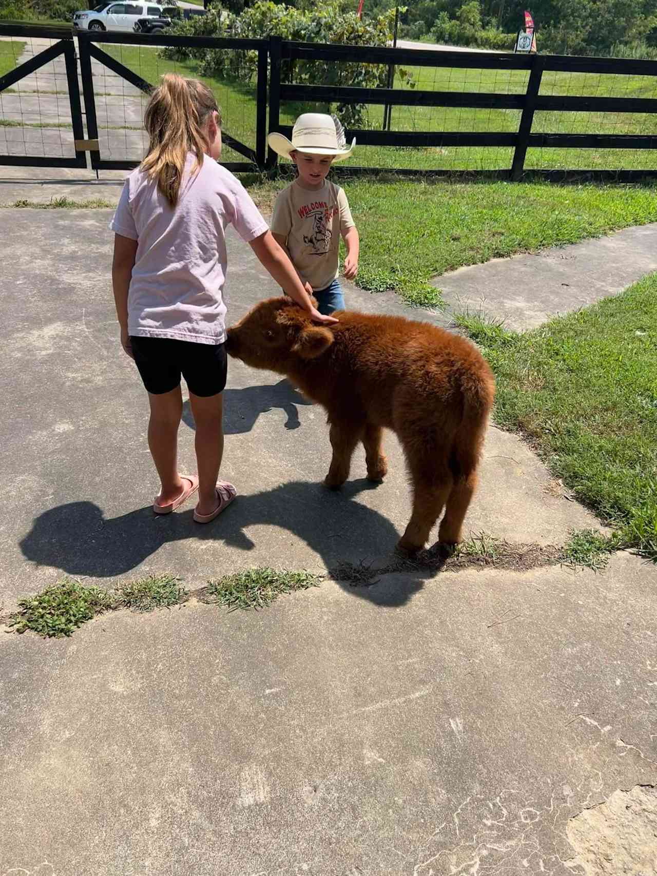 Scottish Highland Cattle Ranch