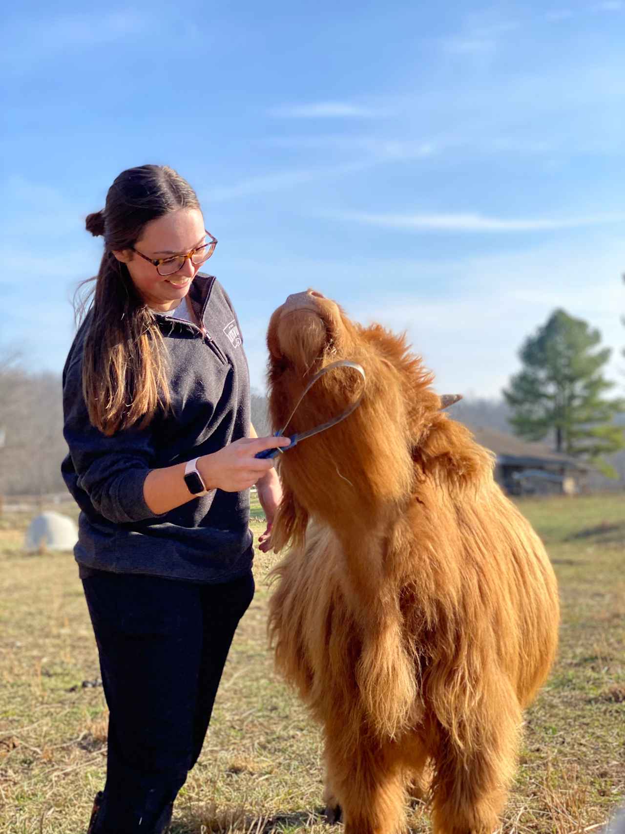 Scottish Highland Cattle Ranch