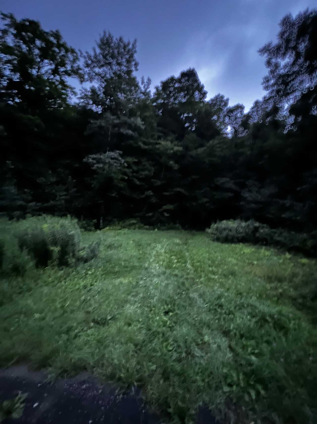 Eligo Lake | Greensboro, VT