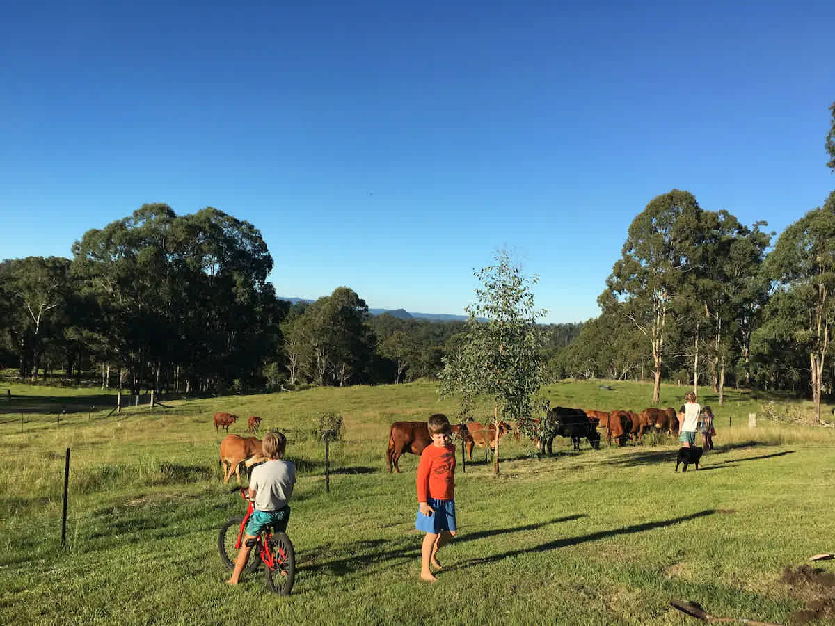 Bonalbo Wilderness Retreat