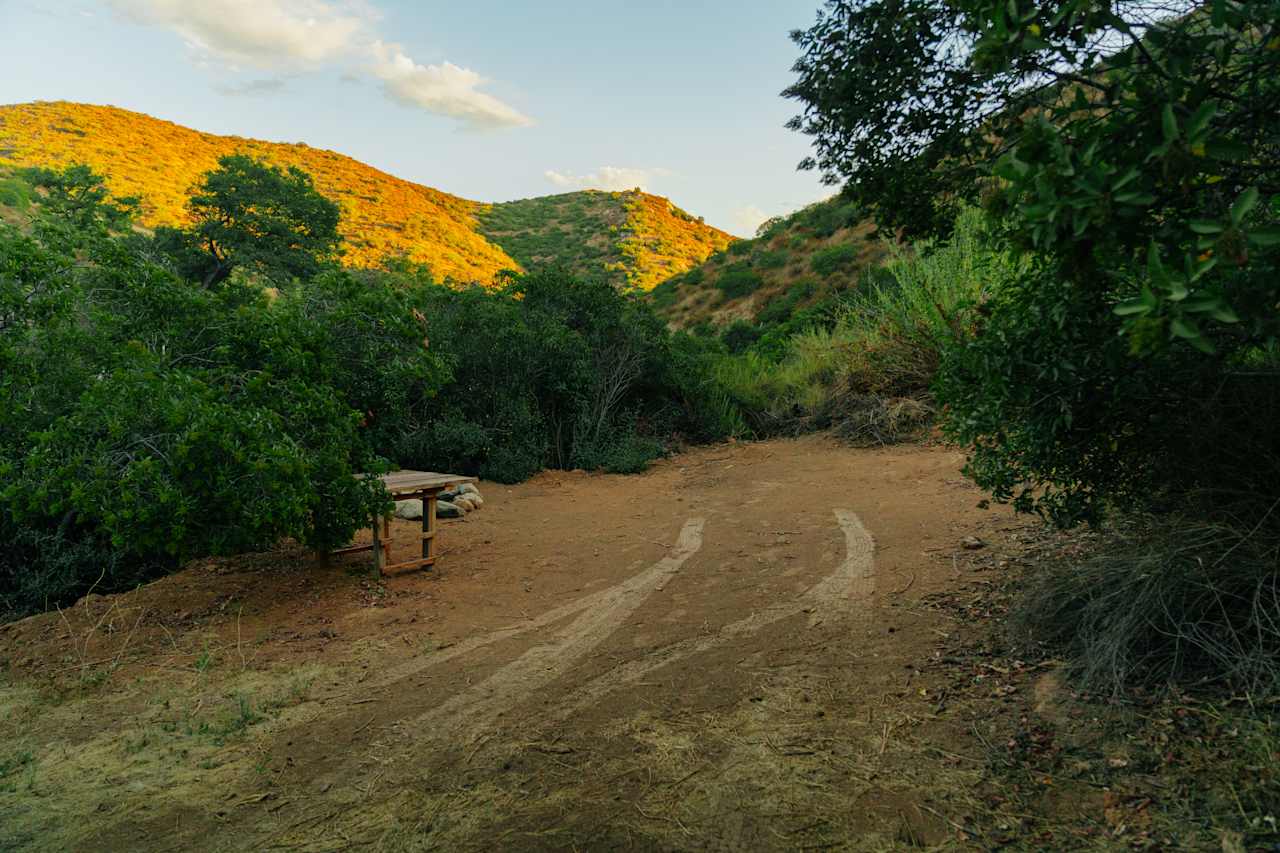 Dutchman Canyon