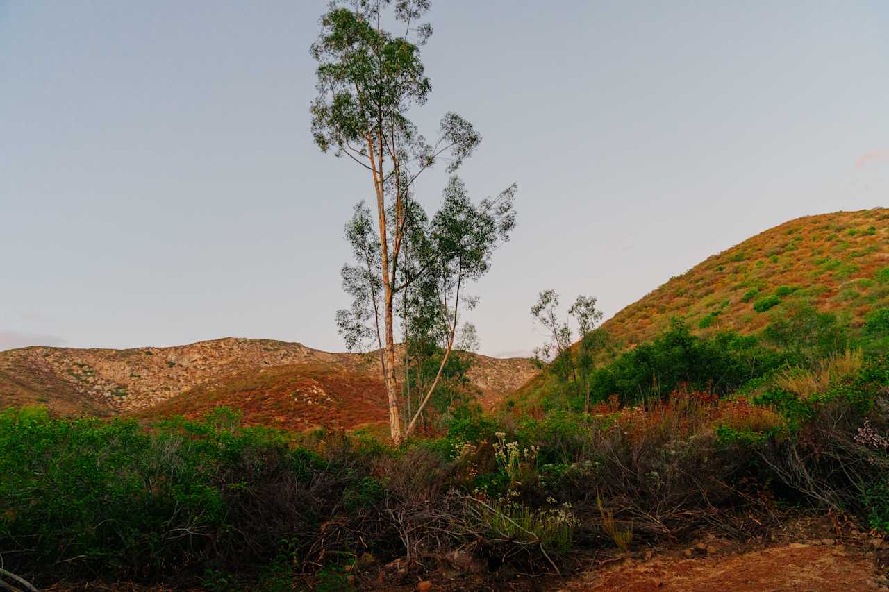 Dutchman Canyon