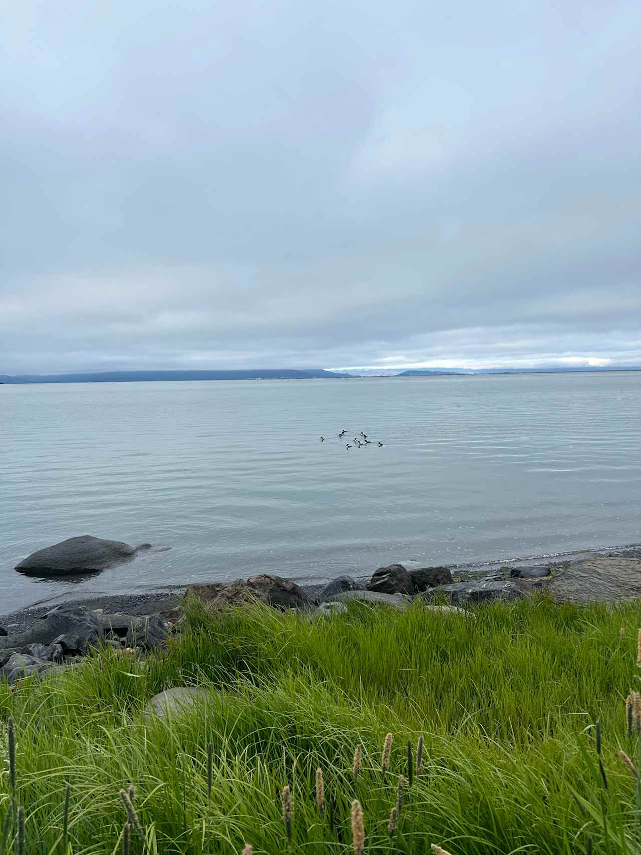 Seaside Farm