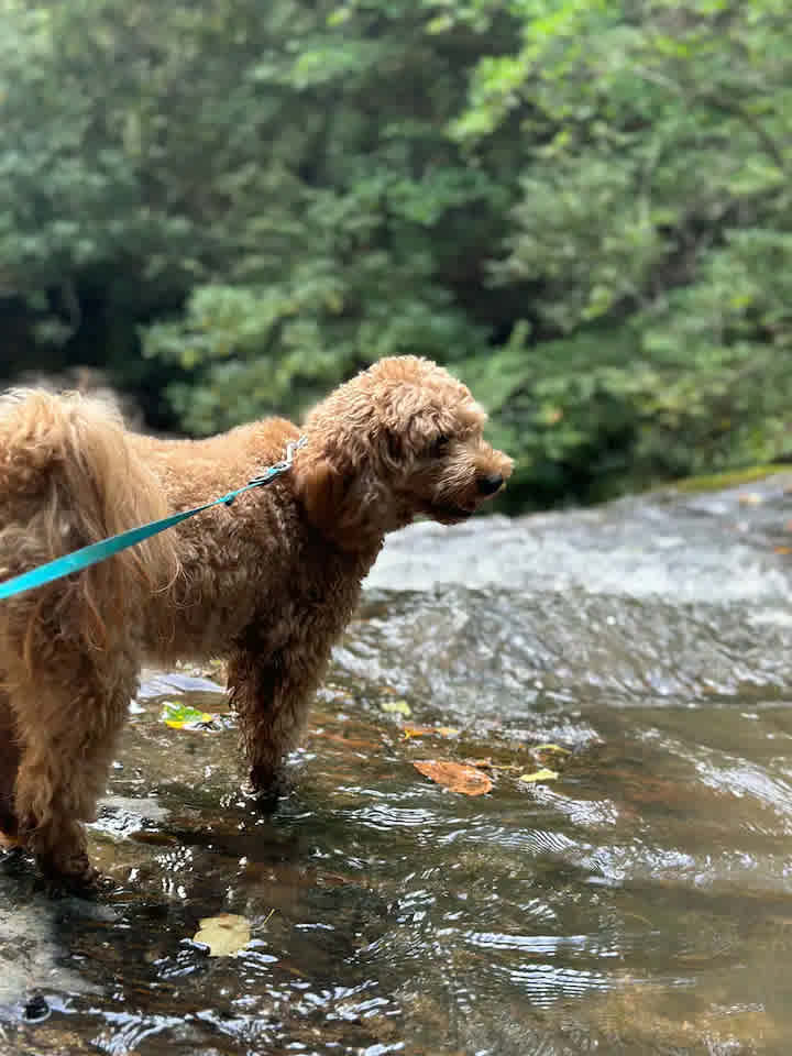 Waterfalls And Cozy Camper