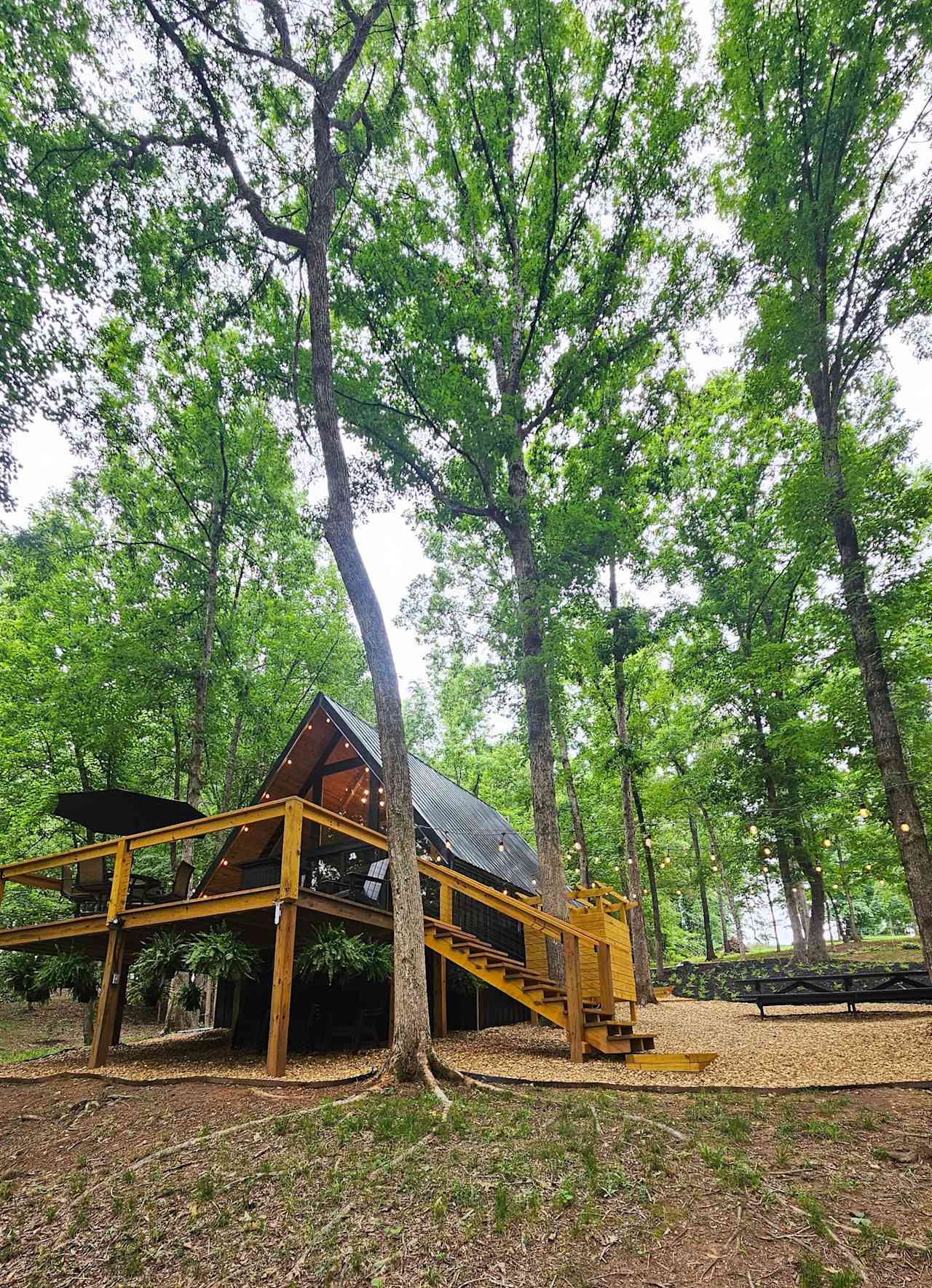 South Fork River Cabin