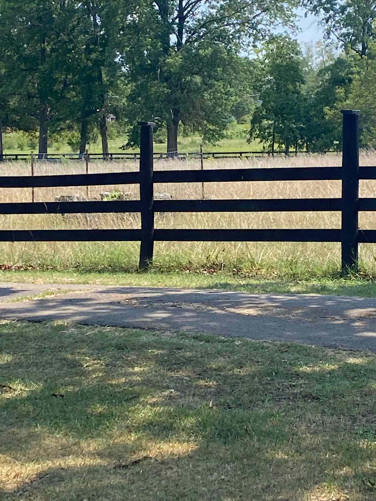 Little Goat Farm at the Lake