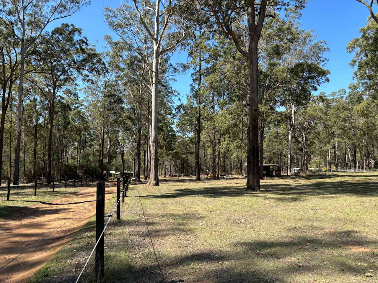 Blackbutt Permaculture Farm Camp