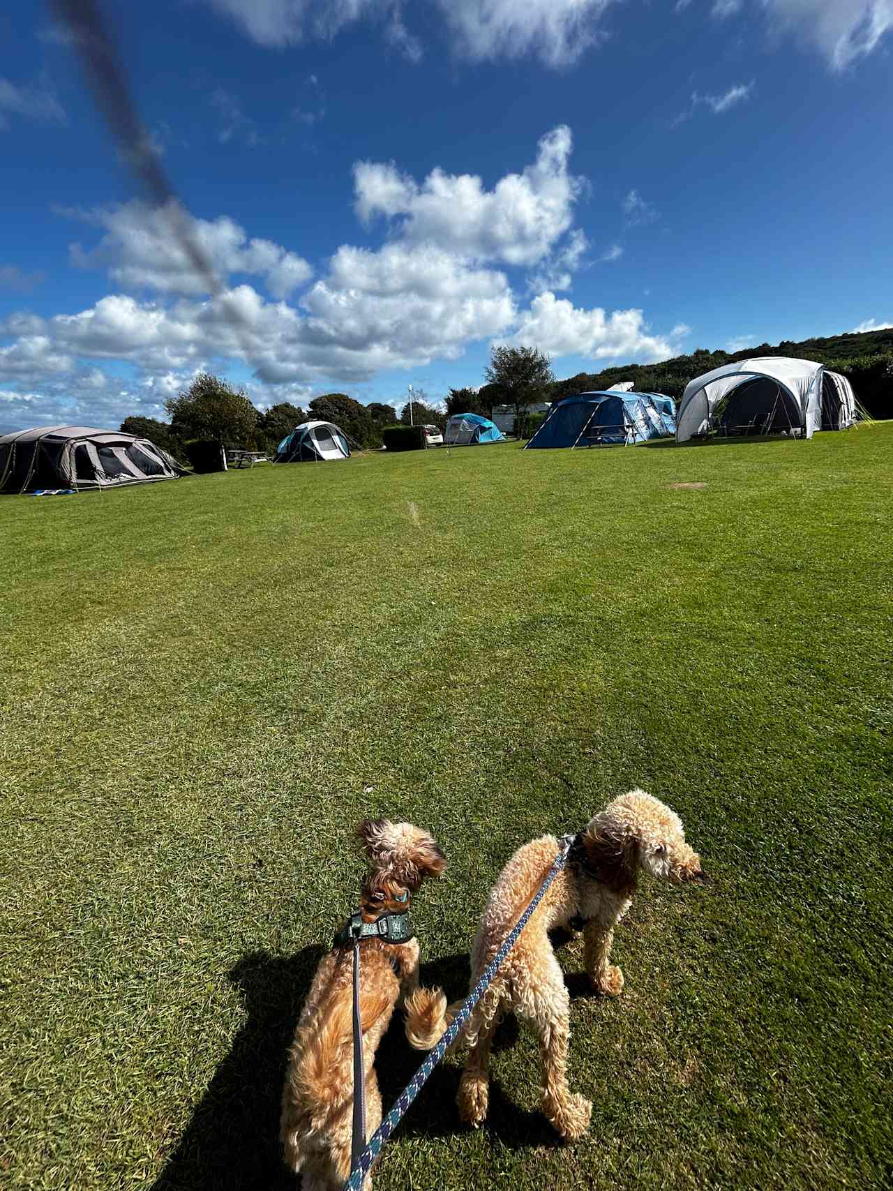 Spacious pitches 