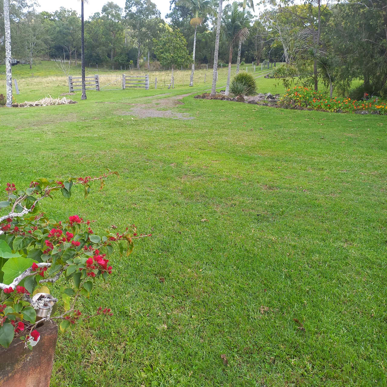 Koala sanctuary