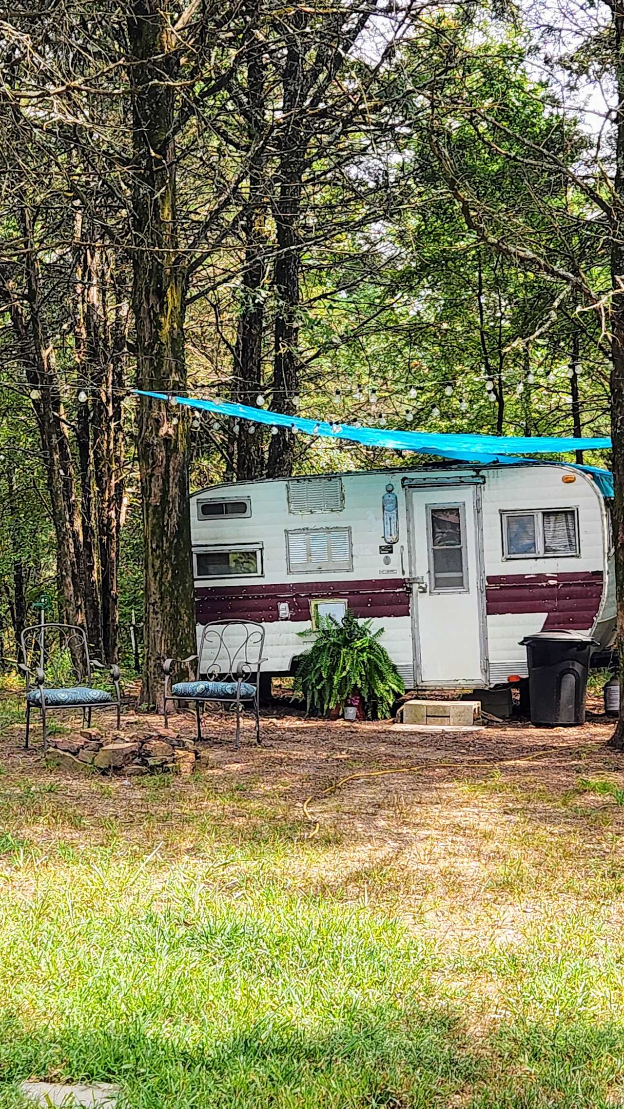 Barnyard Camping Experience