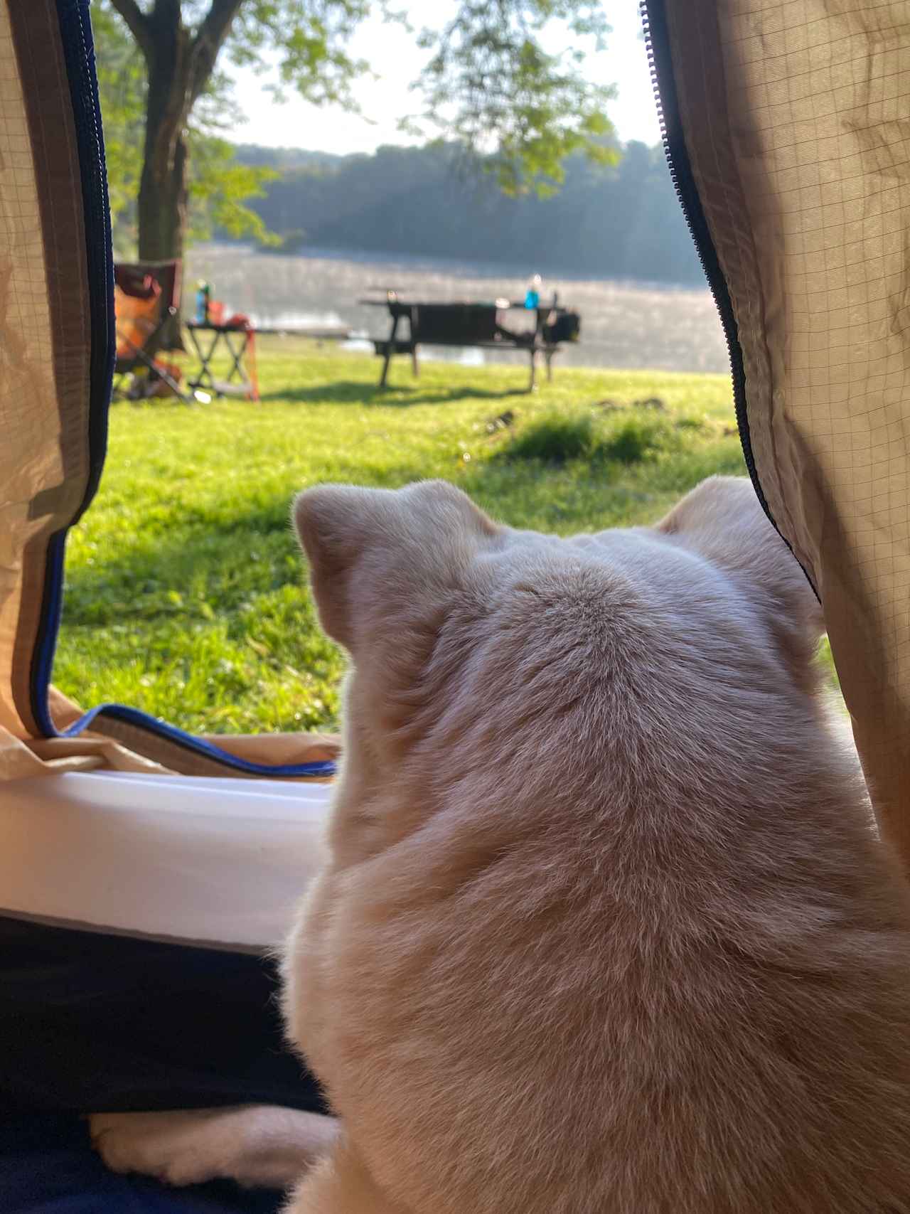 Looking to see what critter got in our garbage overnight
