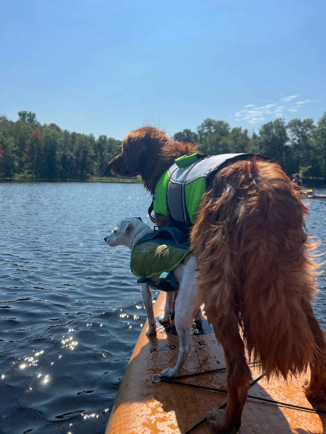 Lake Tommy Homestead