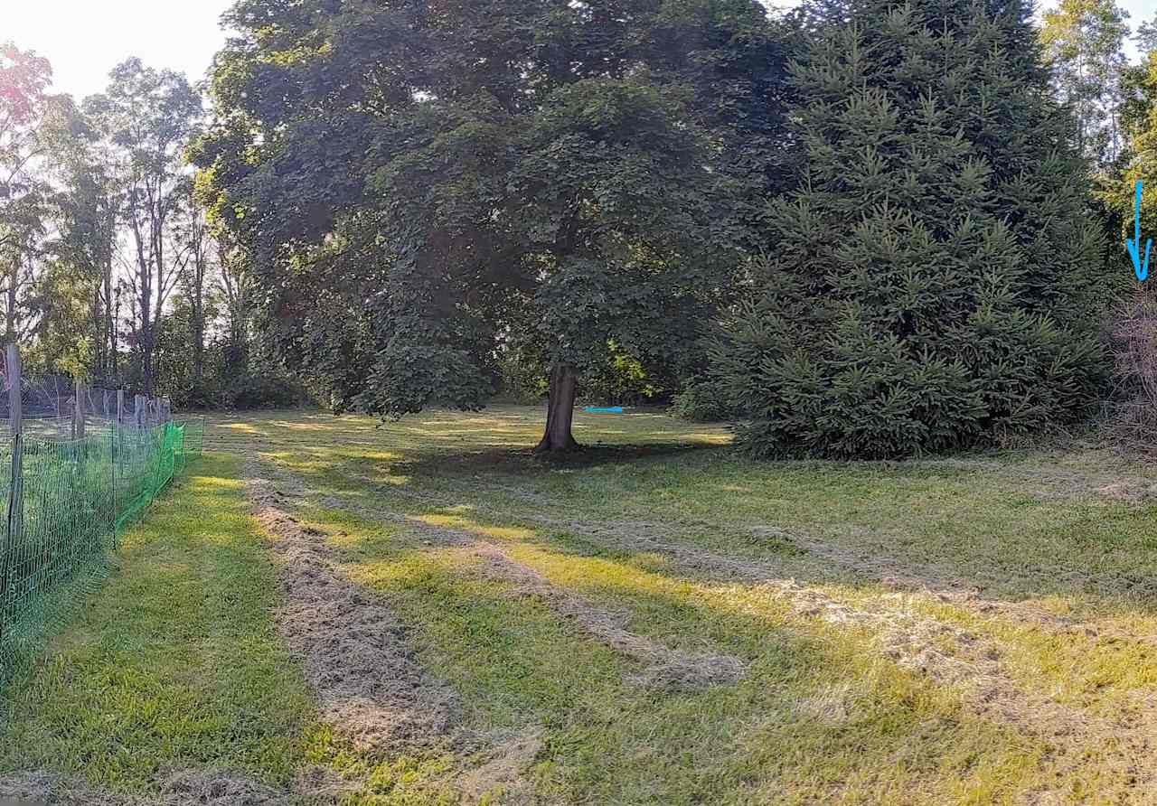 From next to house looking toward West boundary treeline. The green netting is the predator fence. Blue line at corner is possible camp spot