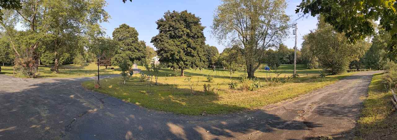 Driveway loop to the south. Everything from that maple south to the wood line in the distance is fair game. Pond/neighboring  visible in the distance.