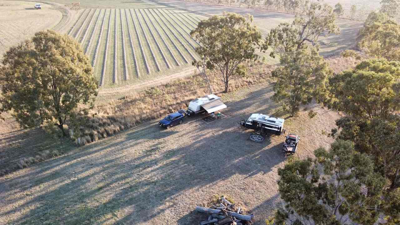 Back Paddock Botanical - Lavender