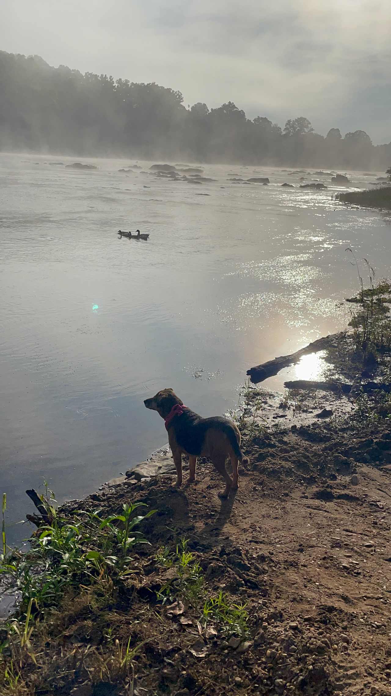 Seven Islands River Front Camping