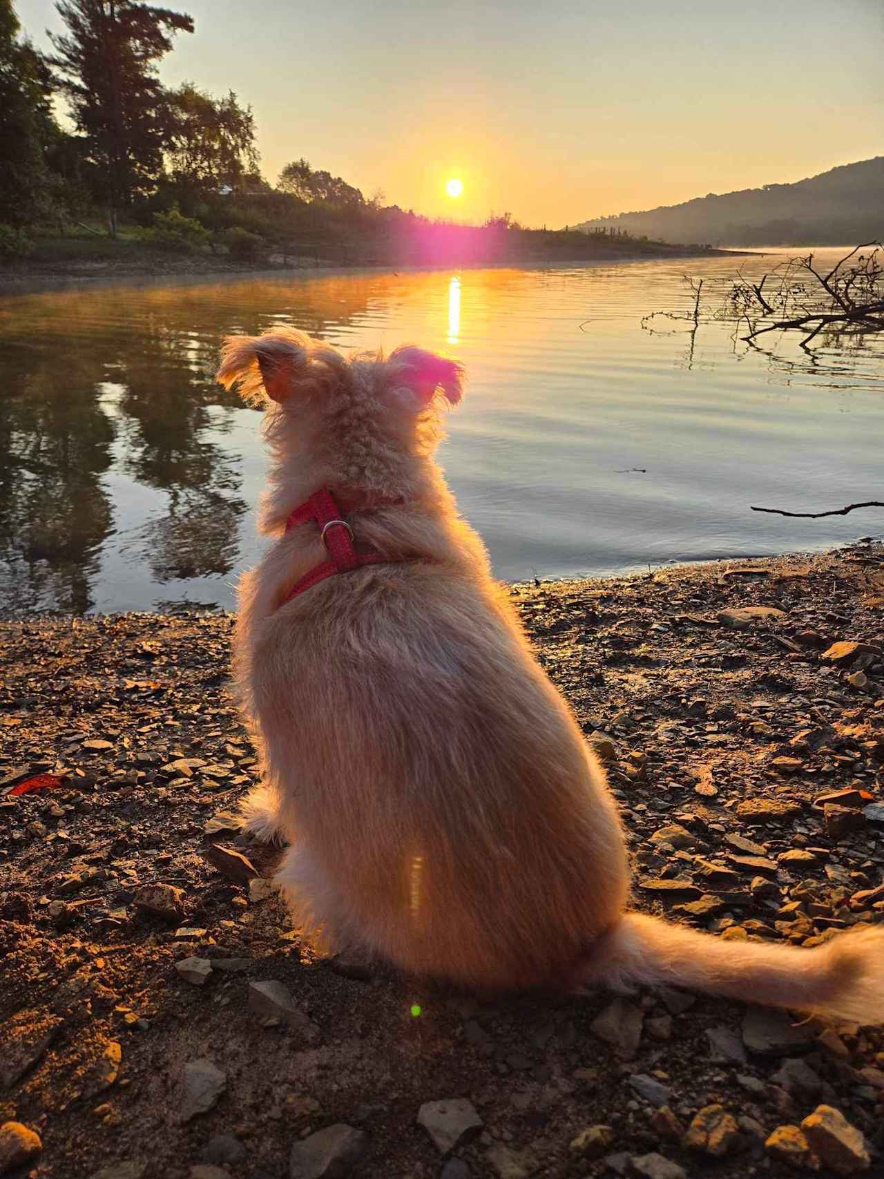 Morning sunshine was amazing 
