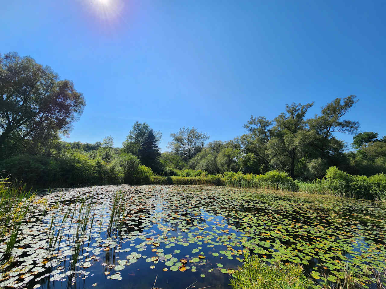 Pleasant Valley Farm