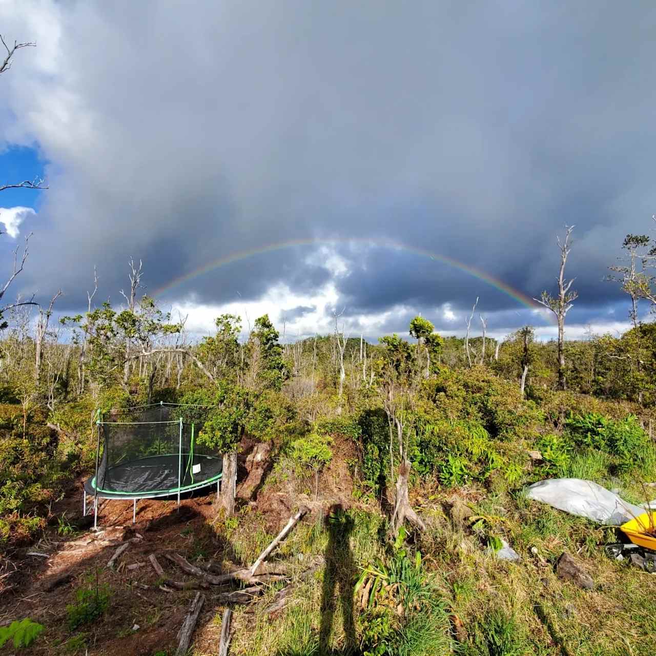 This photo makes me believe there can be paradise in a rainy place.