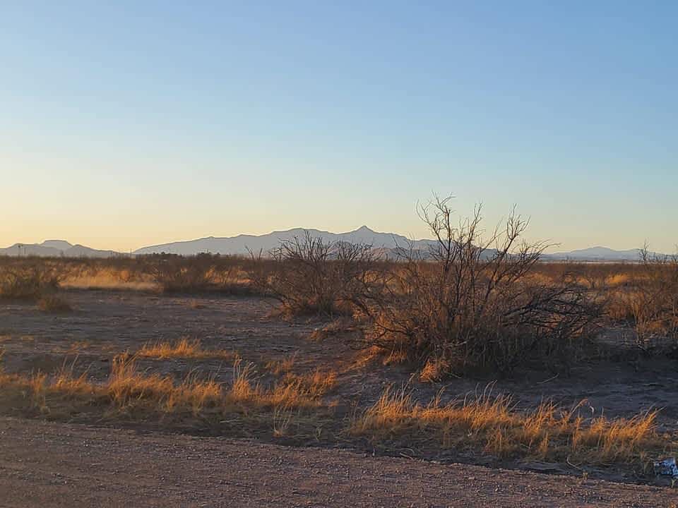 JourneyTree Sanctuary