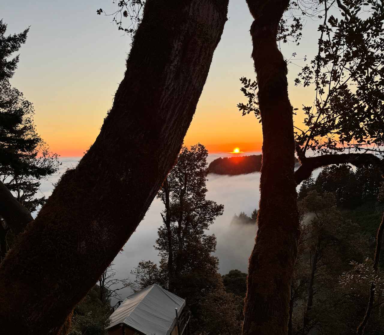 Kings Mountain Camp w/ ocean views