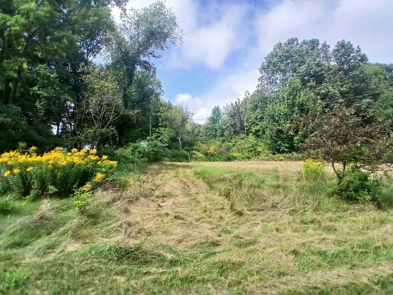 The Black Sheep Farm And Camp