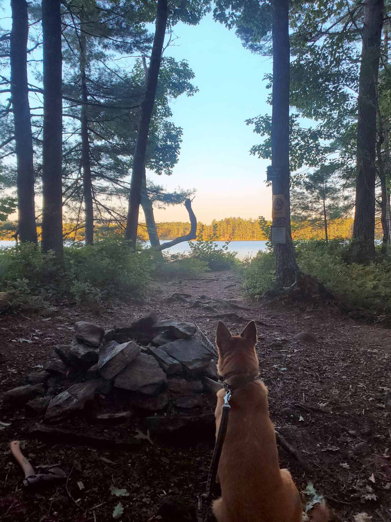 North Campsite. Picnic table is just to the left, out of frame. 