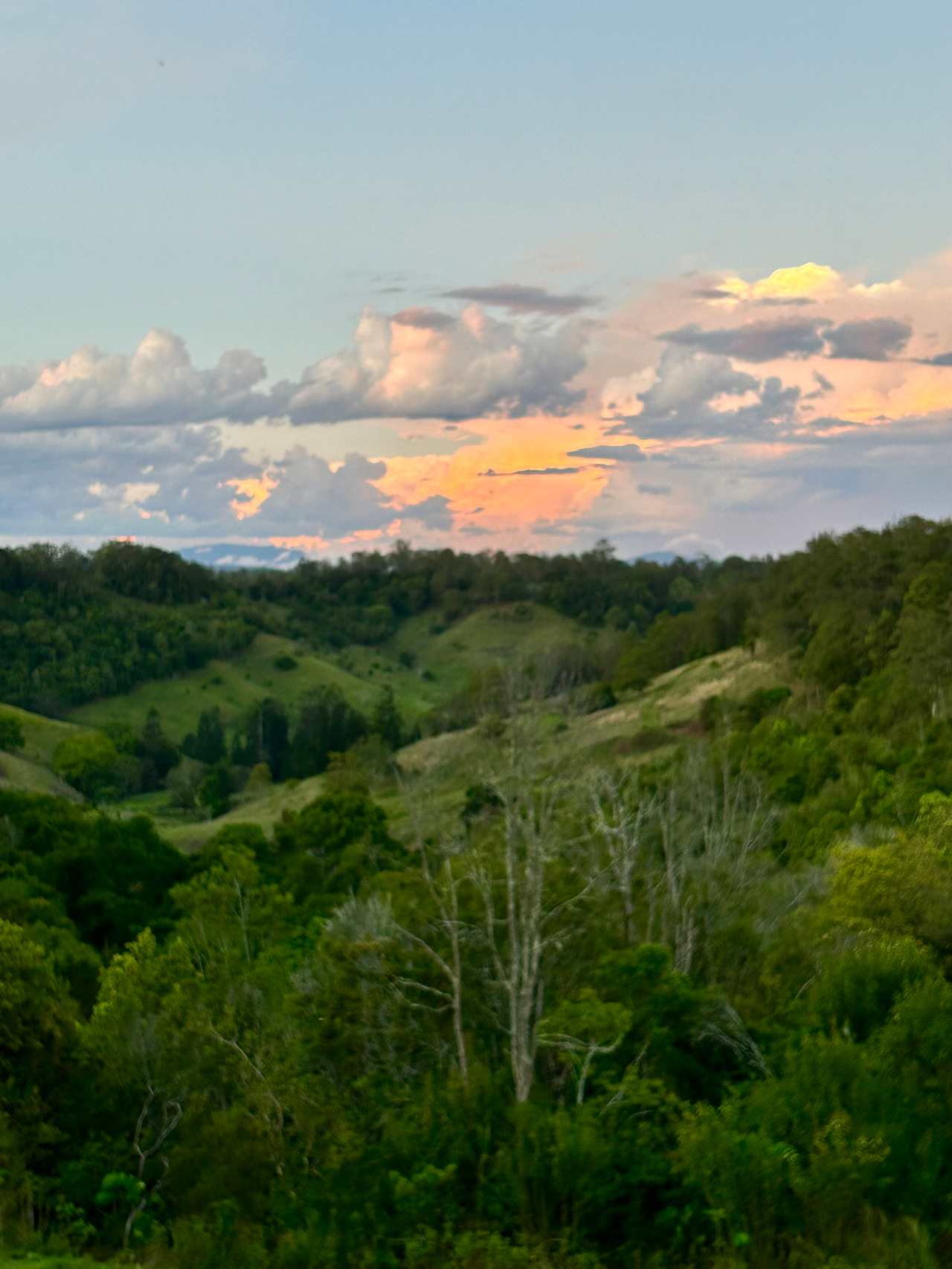 The valley of Yak Yak Creek with distant views to the Border Ranges National Park