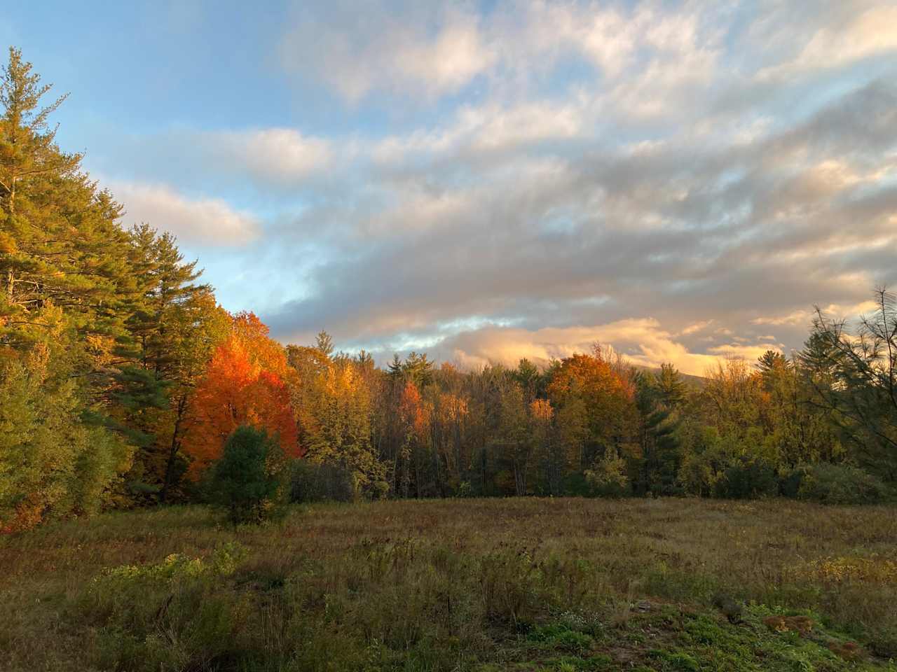 Field Camping on Hackett Hill Road