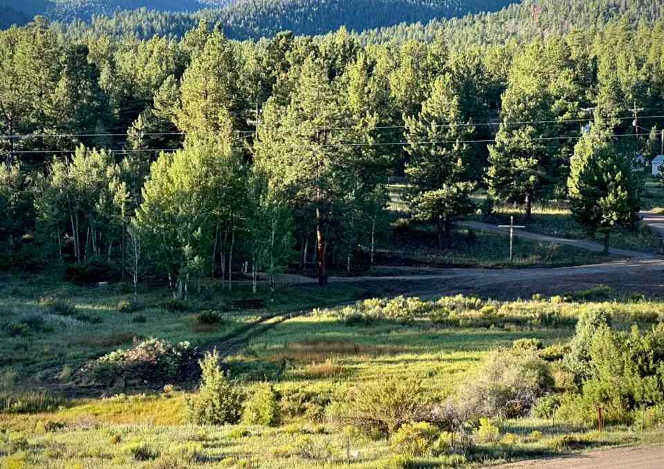 Rocky Pines Camping