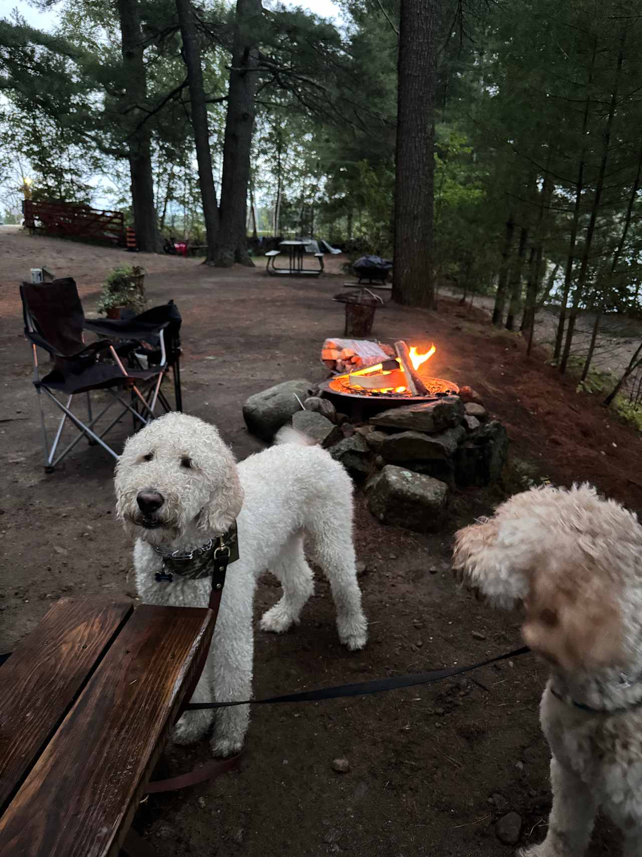 Eagle Lake Narrows Sunset Sites