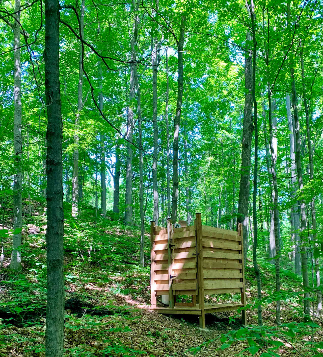 Forest Bunkie on Bruce Trail