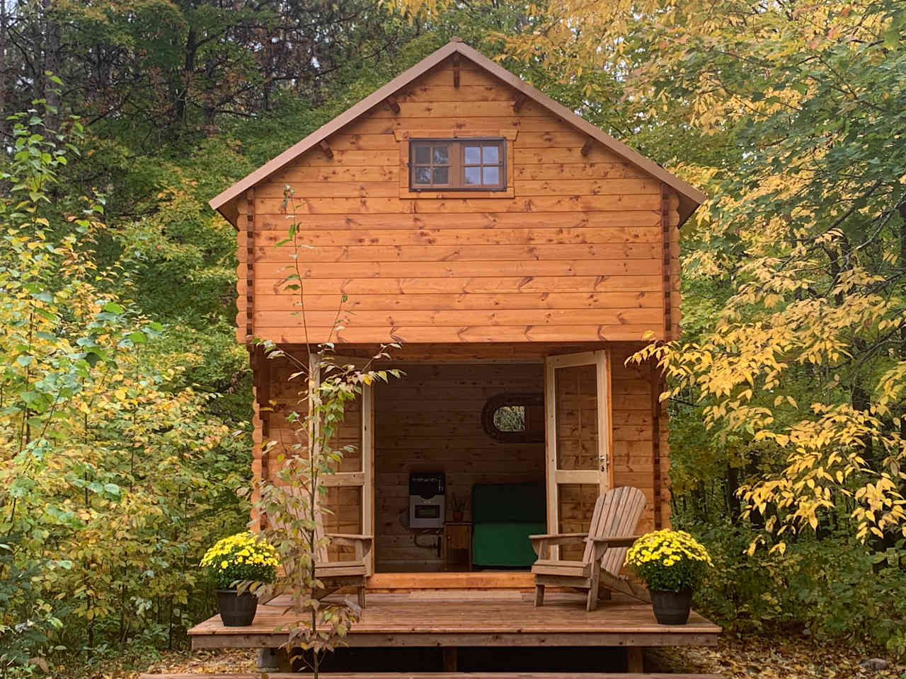 Forest Bunkie on Bruce Trail