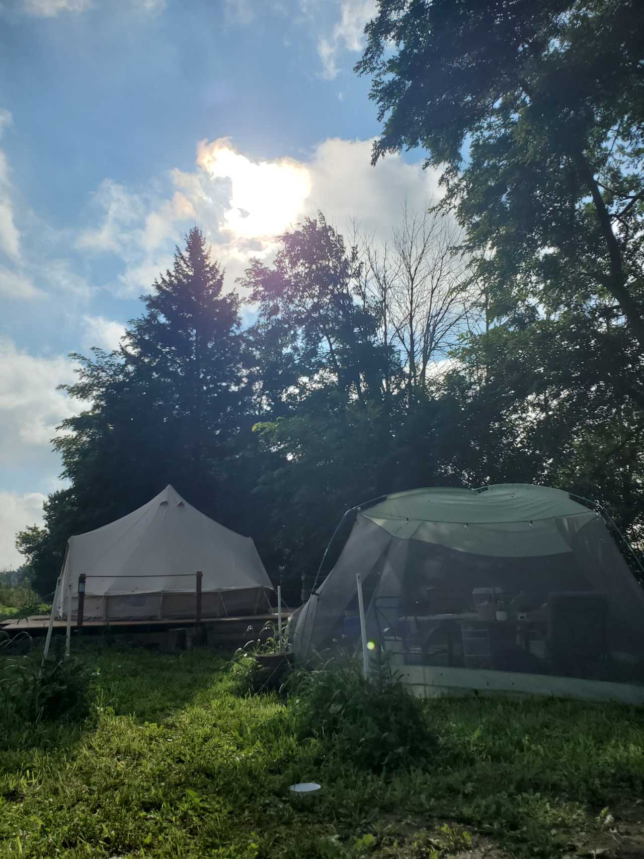 Relaxing Farm Stay Glamping