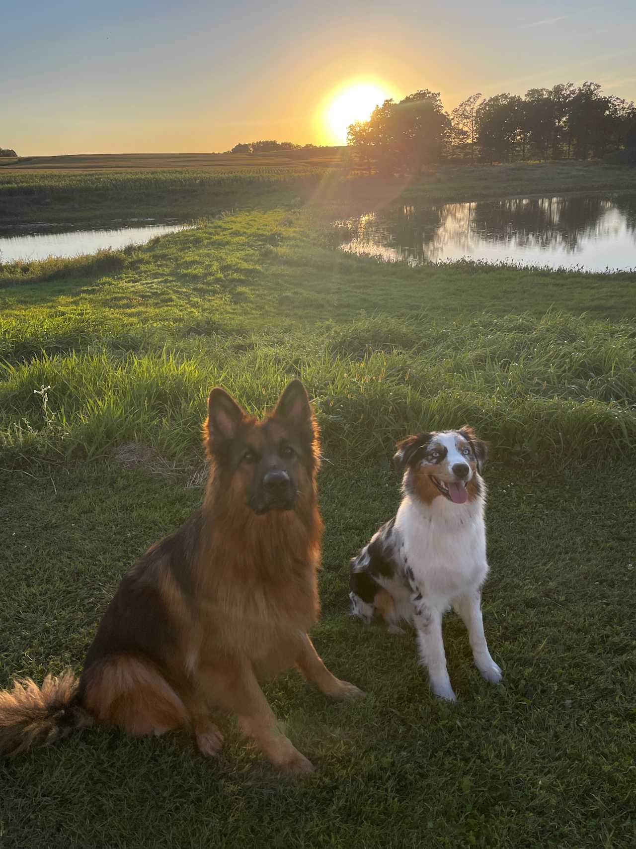 Twin Ponds