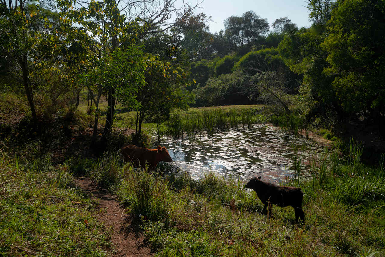 Sandycreek Homestead