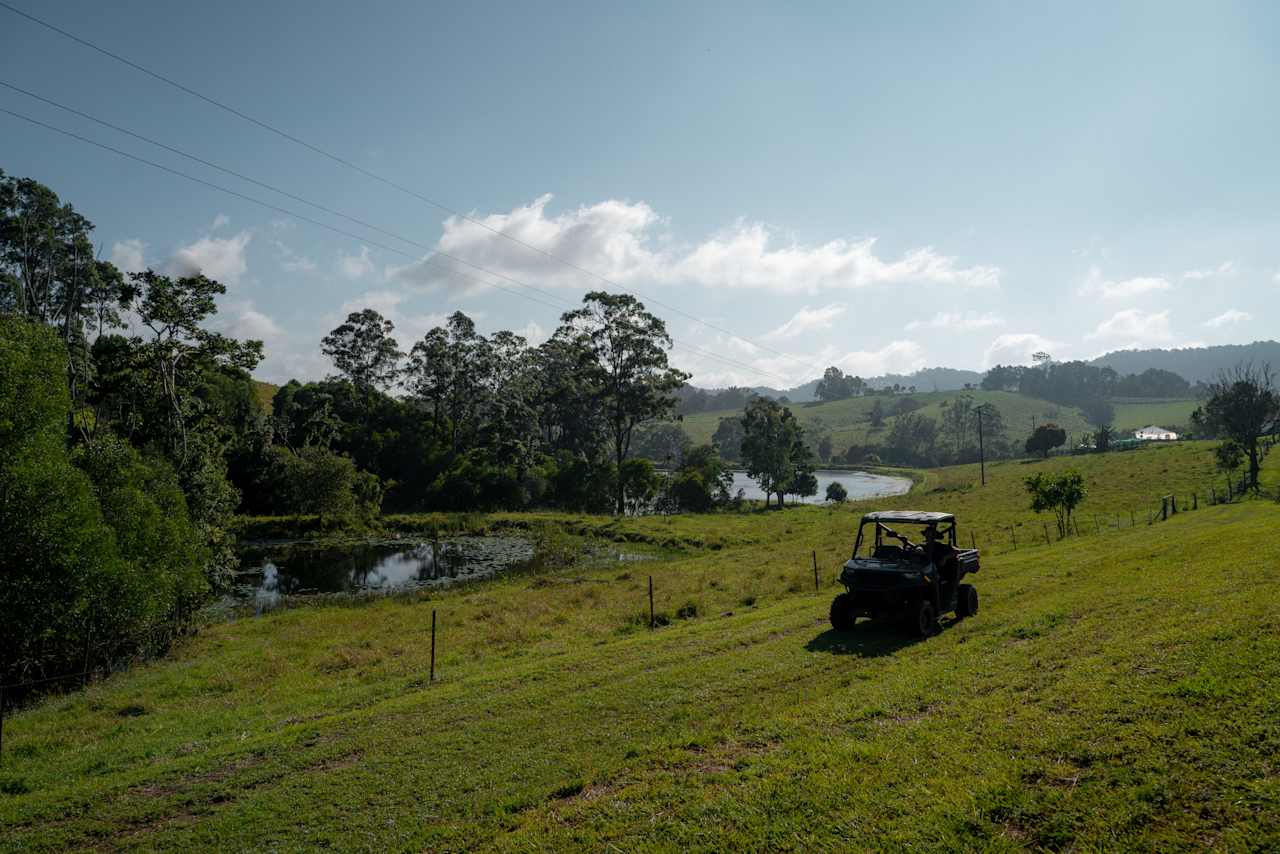 Sandycreek Homestead