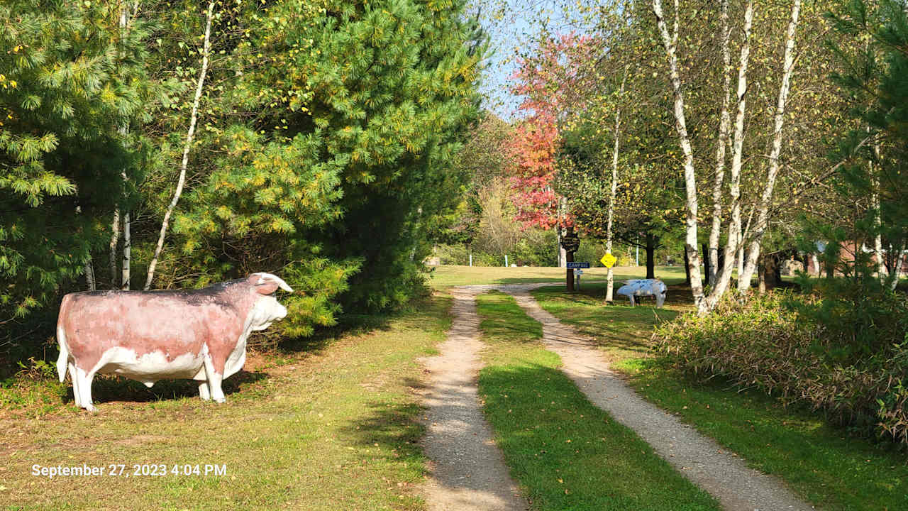 Coming down the driveway, parking area for Dragonfly, turn left before the cow.