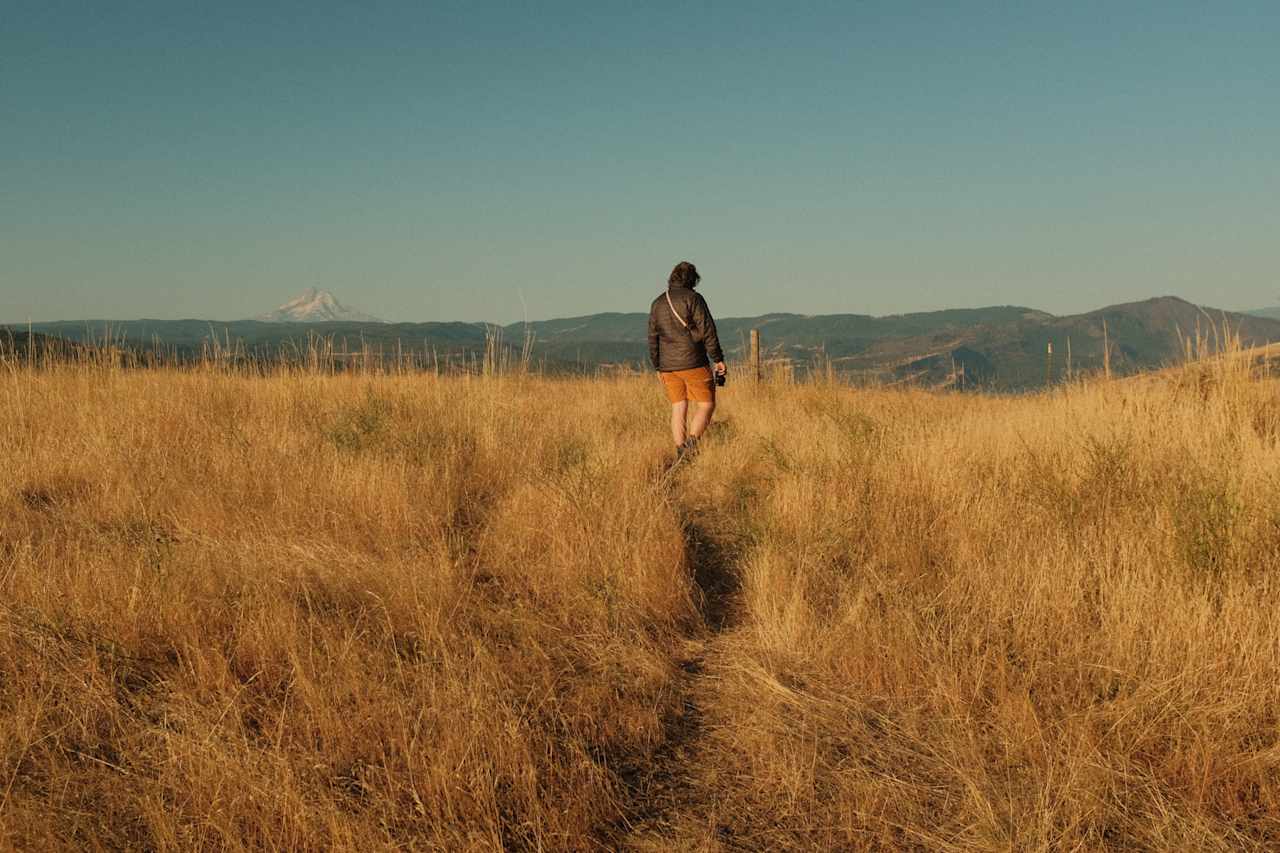 Walking trail to a vista with beautiful views of Mount Hood