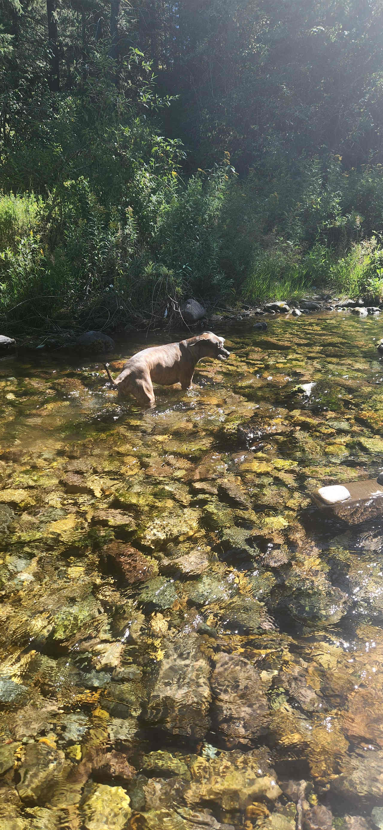 We found beautiful spots while exploring not too far from our campsite. 