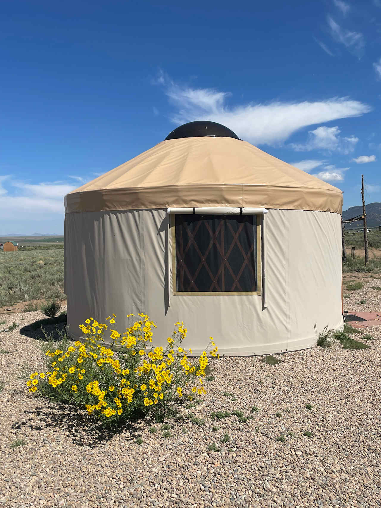 The Mushroom Yurt