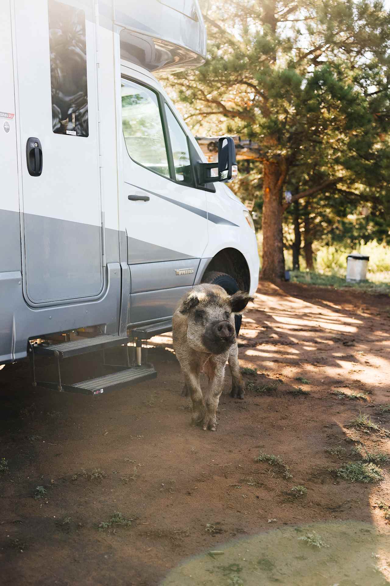 Ragnar–the property's unofficial mascot