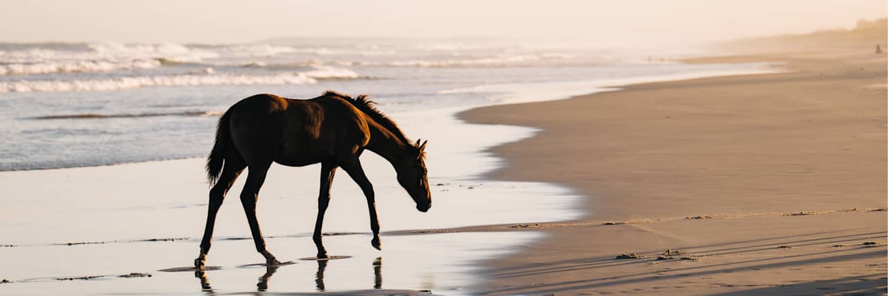 Sugar Beach Ranch - Horse Holidays