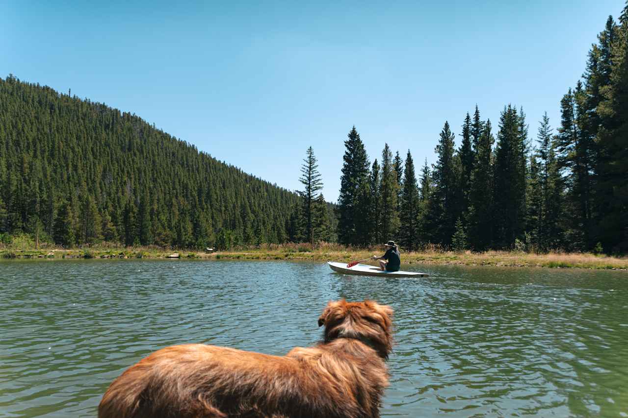 Boat + Dog!