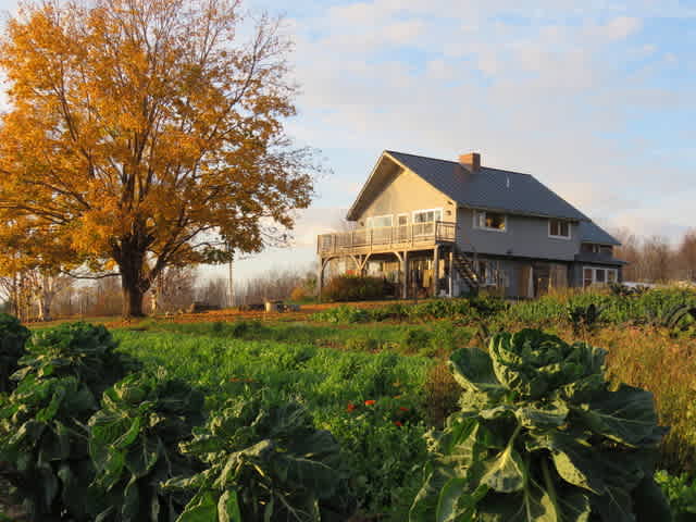 Metta Earth Farm Stay