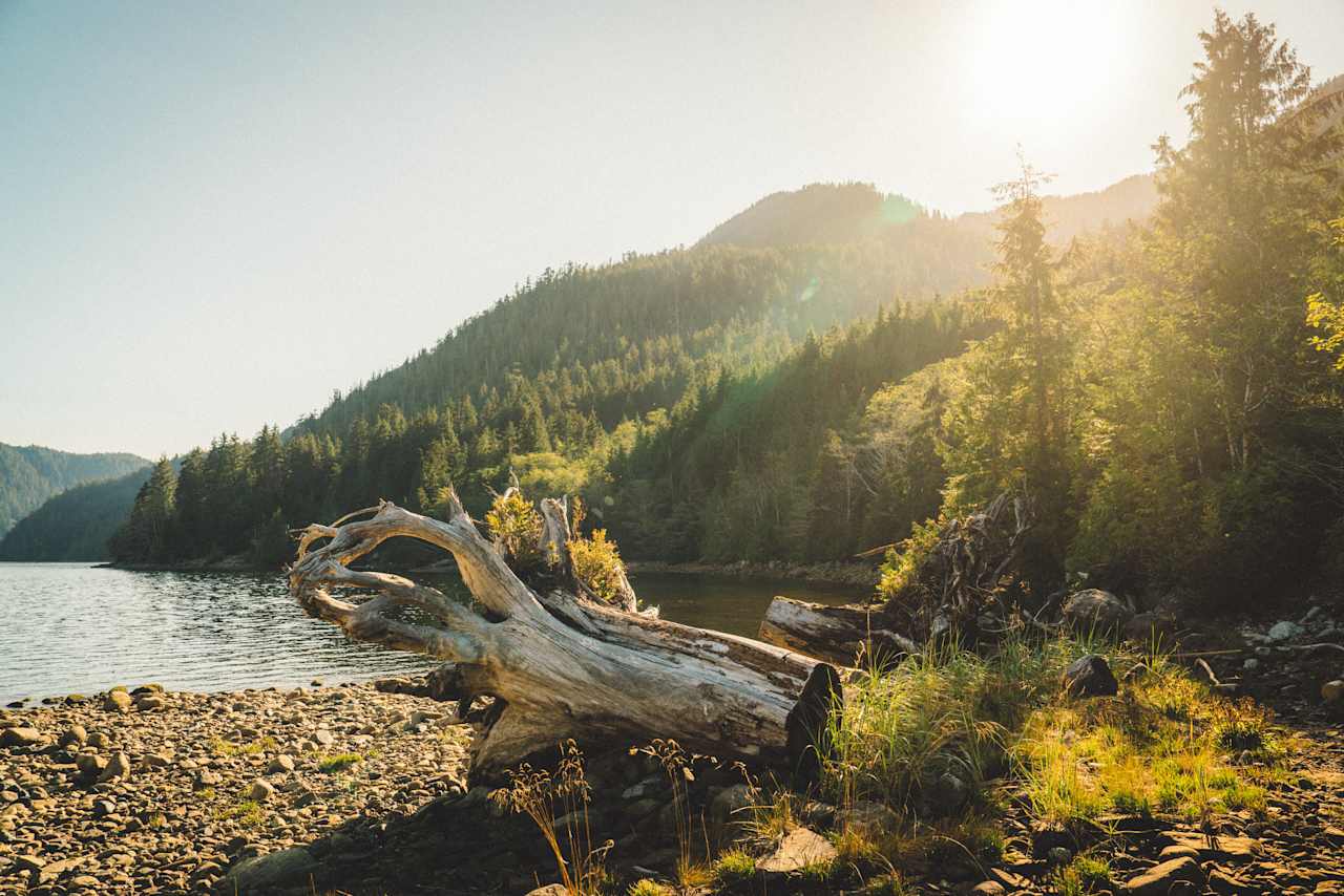 The beach just five steps away from the tent pad.