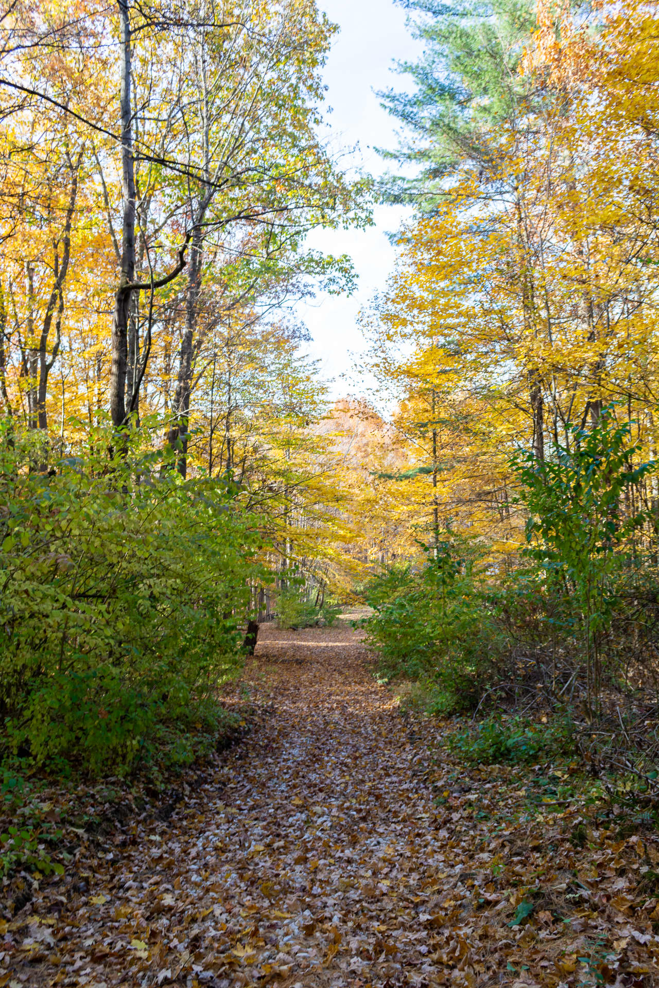 Explore our beautiful grounds.